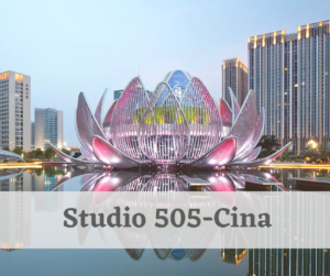 Studio 505 cina