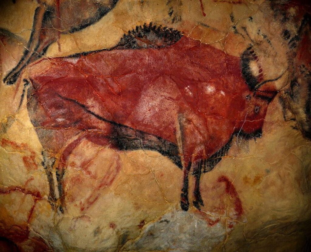 bisonte disegno grotta preistorica